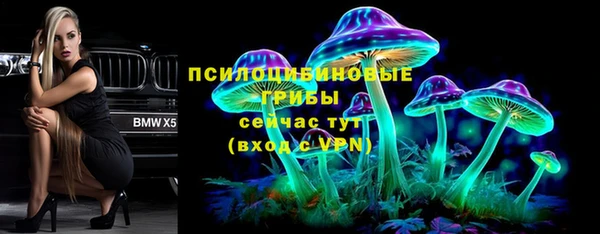 сатива Абаза