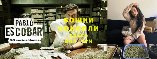 гашик Россошь
