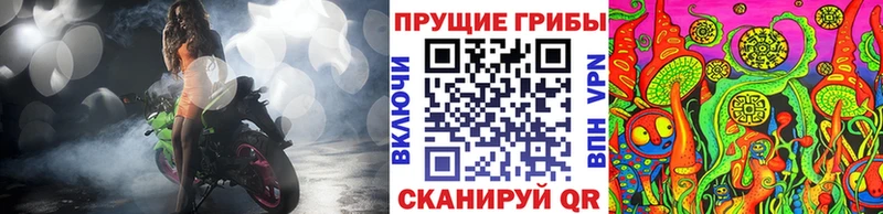 Галлюциногенные грибы Psilocybine cubensis  МЕГА зеркало  Богданович 